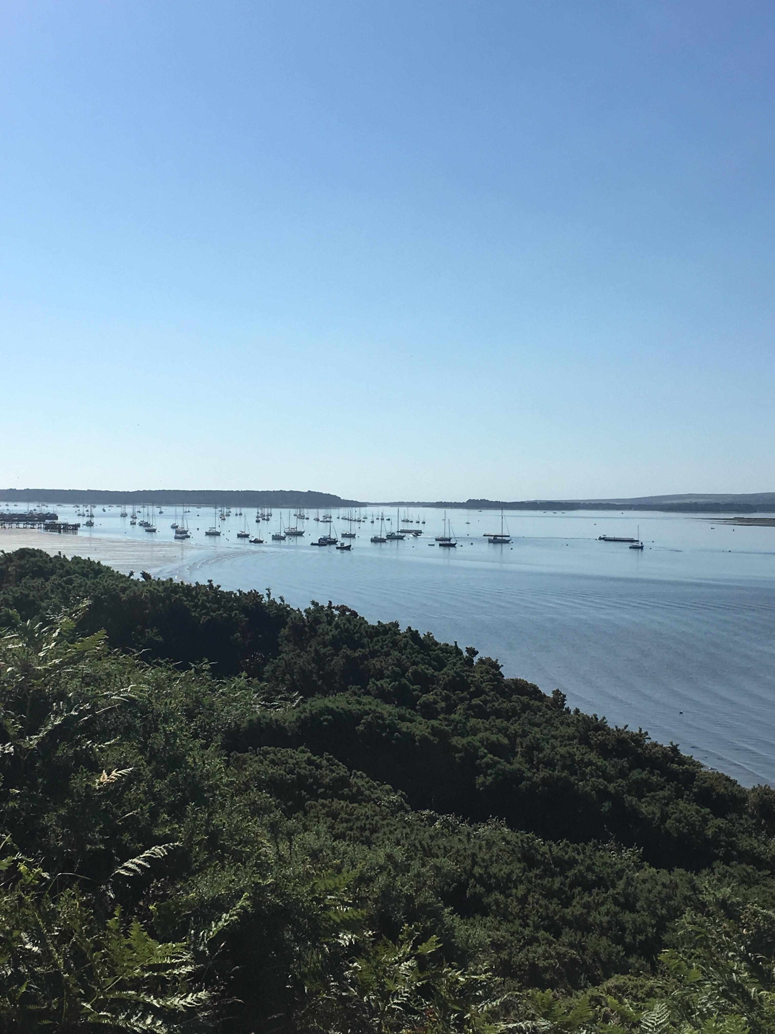 Kitchen and Dining Table